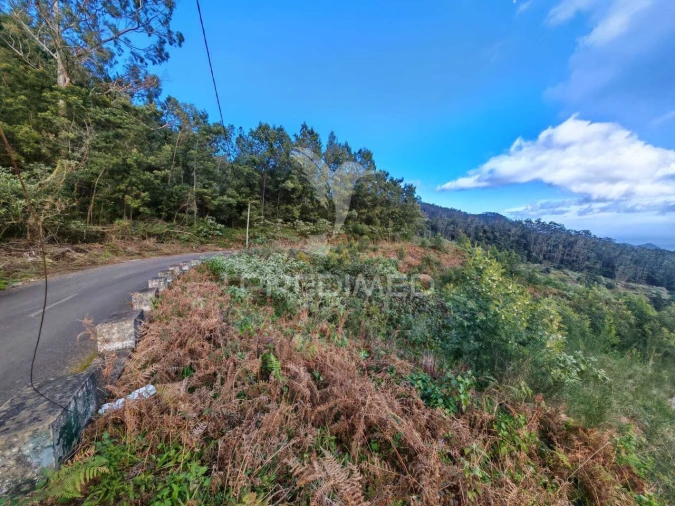 Terreno para Venda em Santo Antonio da Serra Foto 16