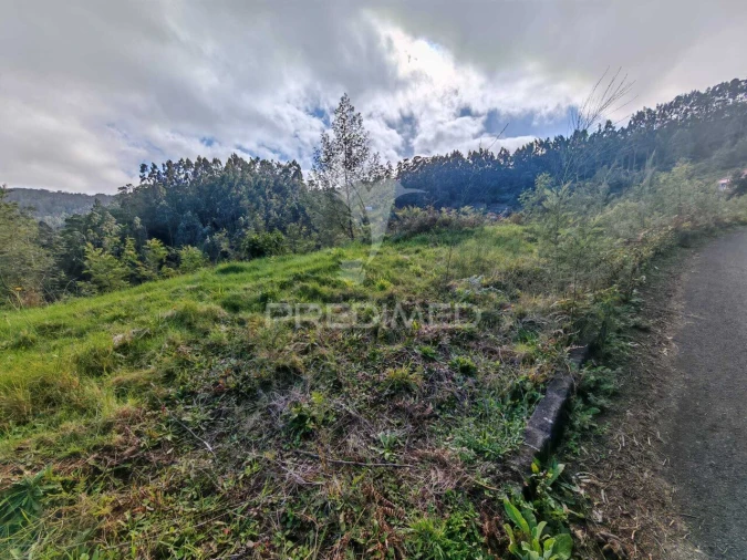 Terreno para Venda em Santo Antonio da Serra Foto 11