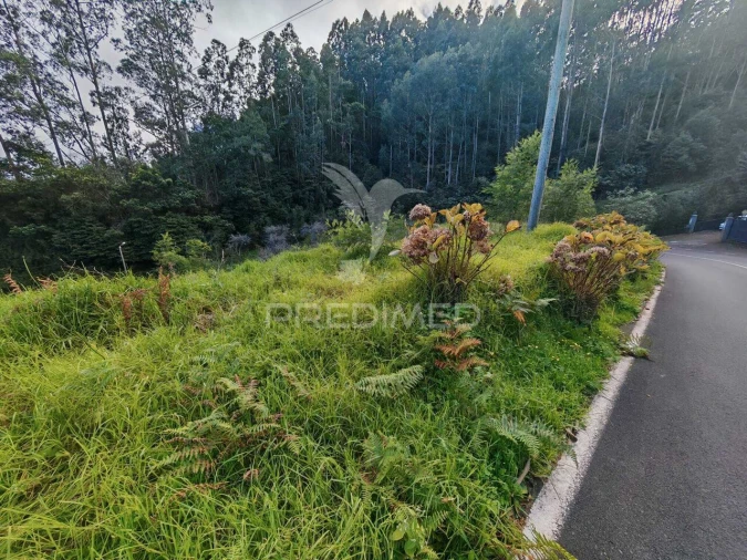 Terreno para Venda em Santo Antonio da Serra Foto 2