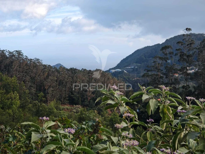 Terreno para Venda em Santo Antonio da Serra Foto 15