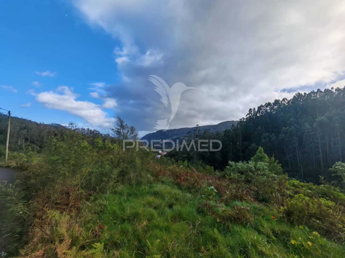 Terreno para Venda em Santo Antonio da Serra Foto 19