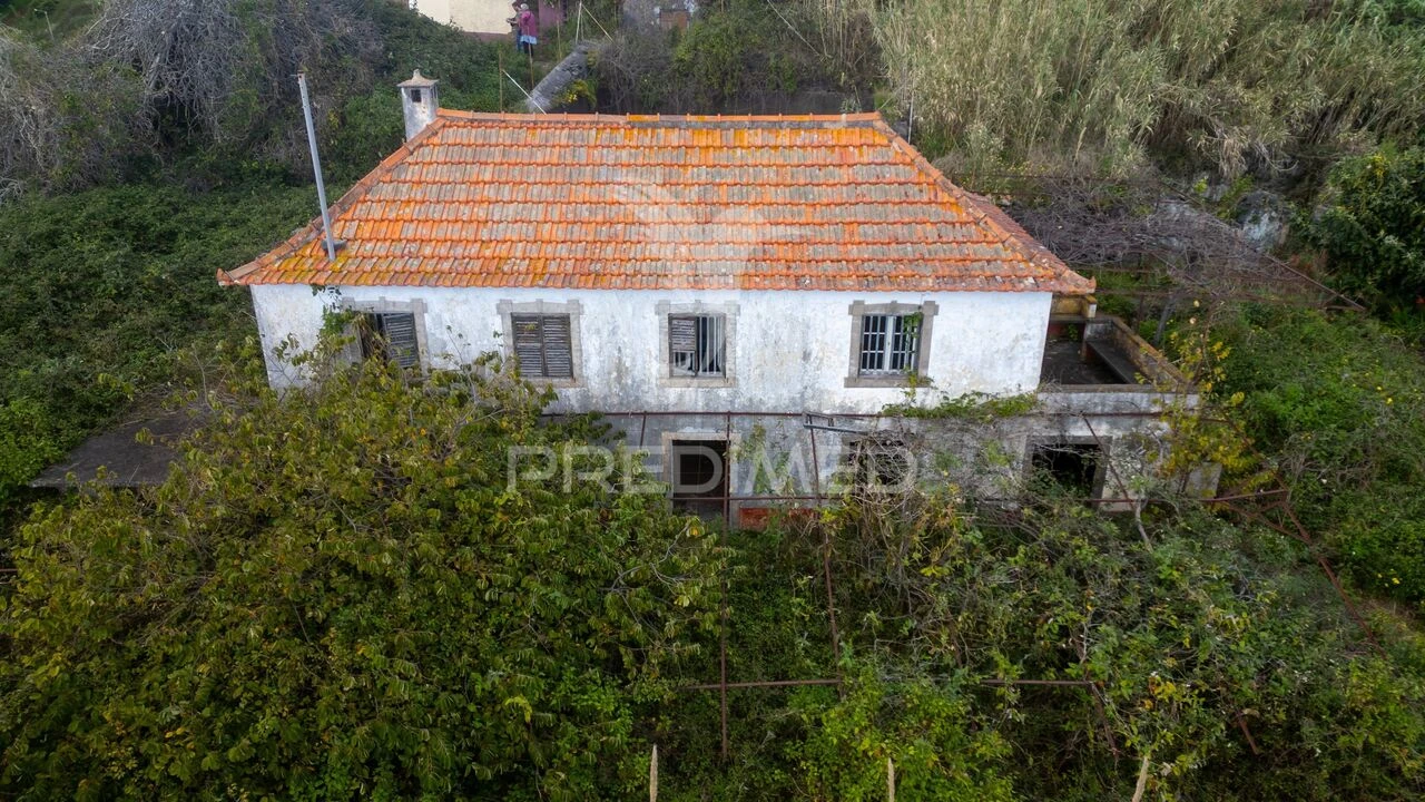Prédio para Venda em Caniço Foto 30