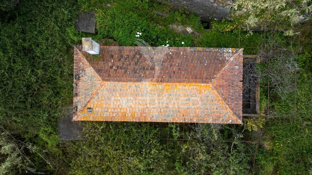Prédio para Venda em Caniço Foto 32