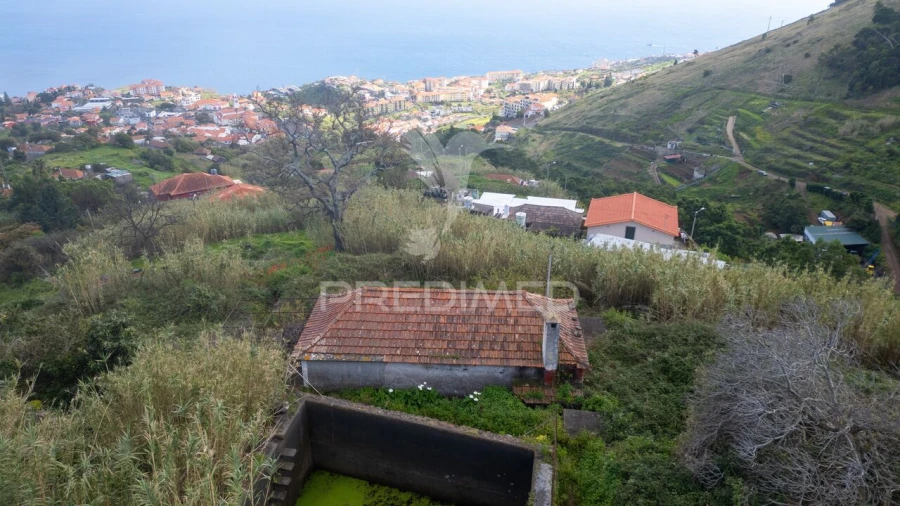 Prédio para Venda em Caniço Foto 33