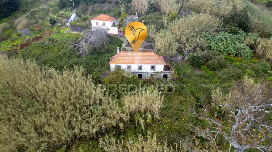 Prédio para Venda em Caniço Foto 29