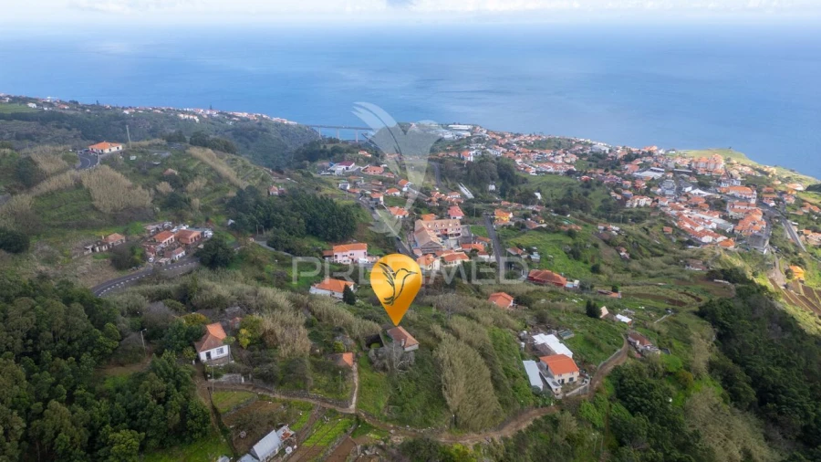 Prédio para Venda em Caniço Foto 22
