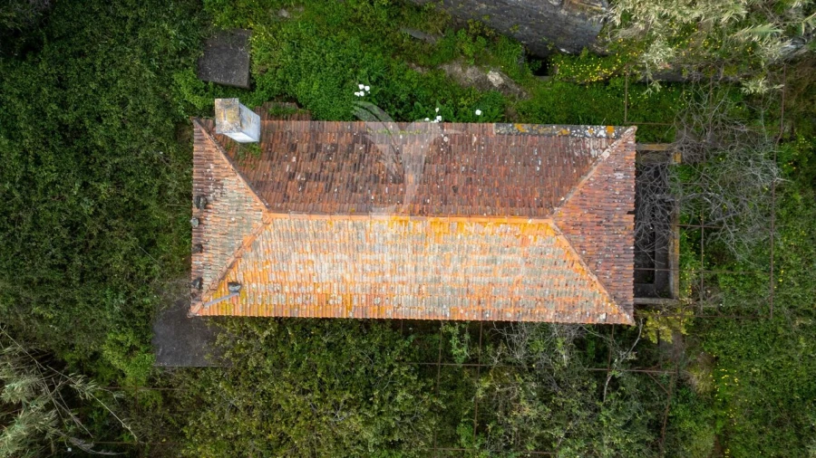 Prédio para Venda em Caniço Foto 32