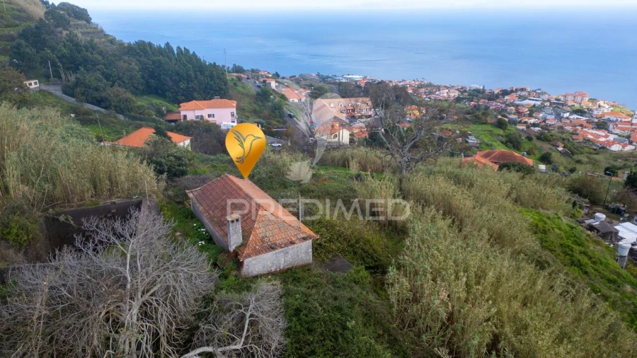 Prédio para Venda em Caniço Foto 38