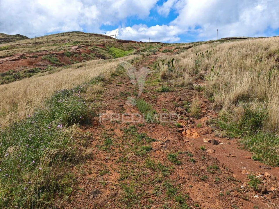 Terreno para Venda em Caniçal Foto 28