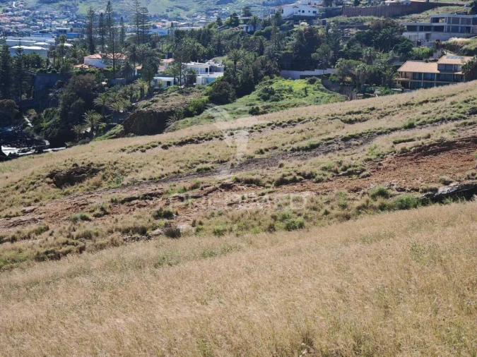 Terreno para Venda em Caniçal Foto 32