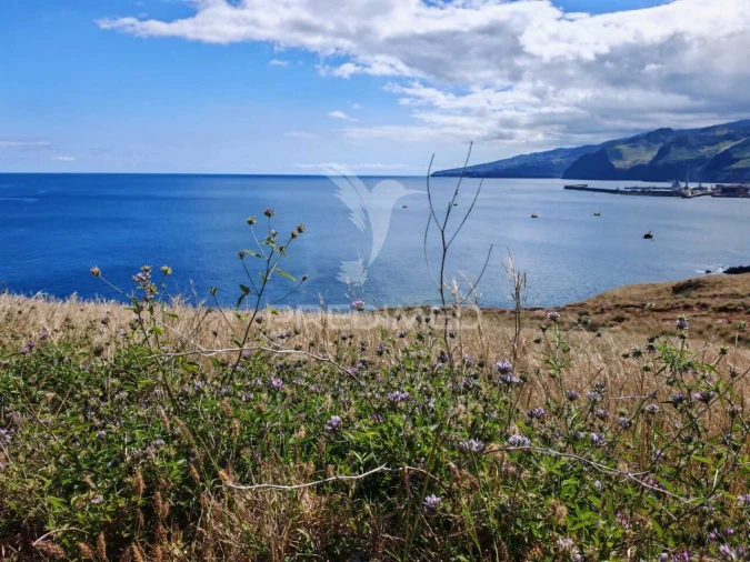 Terreno para Venda em Caniçal Foto 13