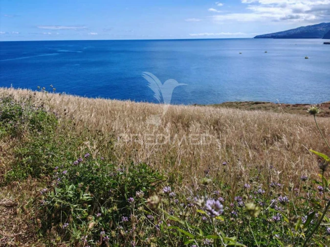 Terreno para Venda em Caniçal Foto 11
