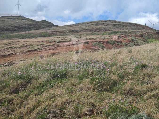 Terreno para Venda em Caniçal Foto 24