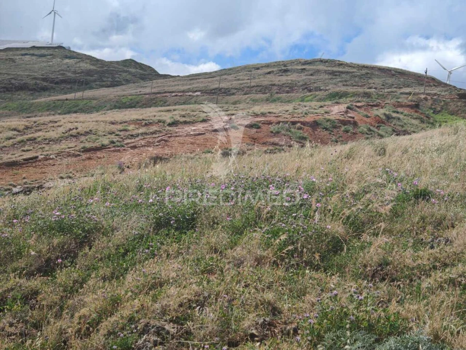 Terreno para Venda em Caniçal Foto 24