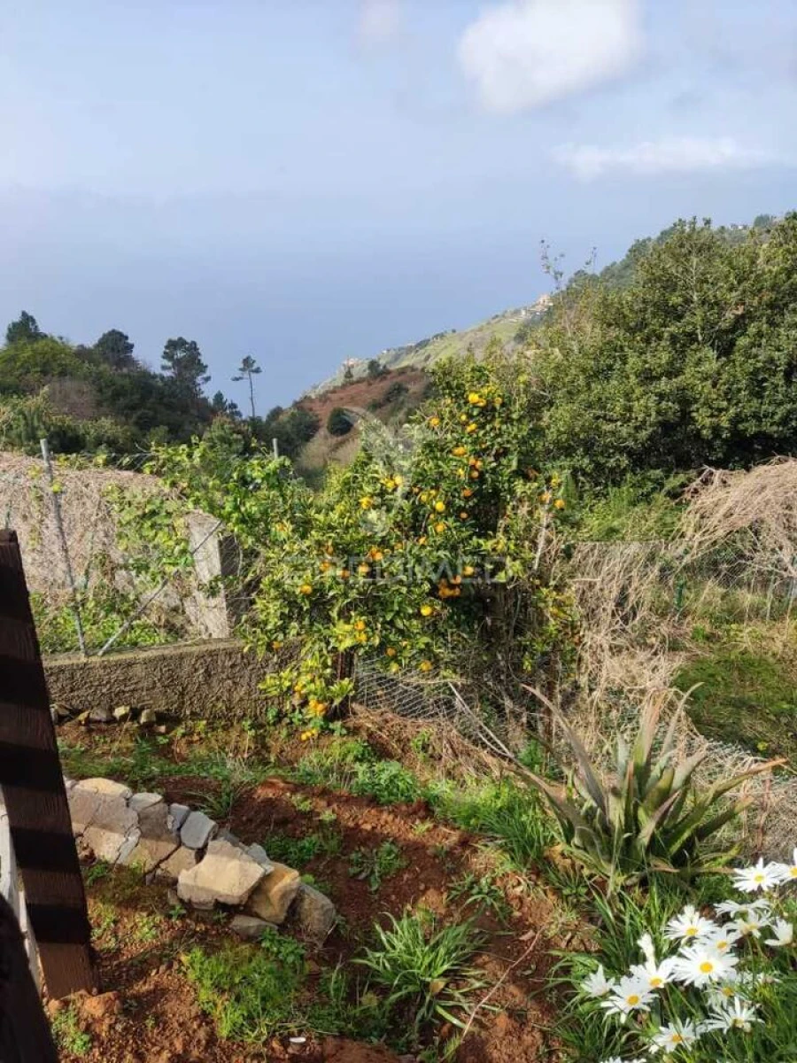 Moradia T2 para Venda em Fajã da Ovelha Foto 9