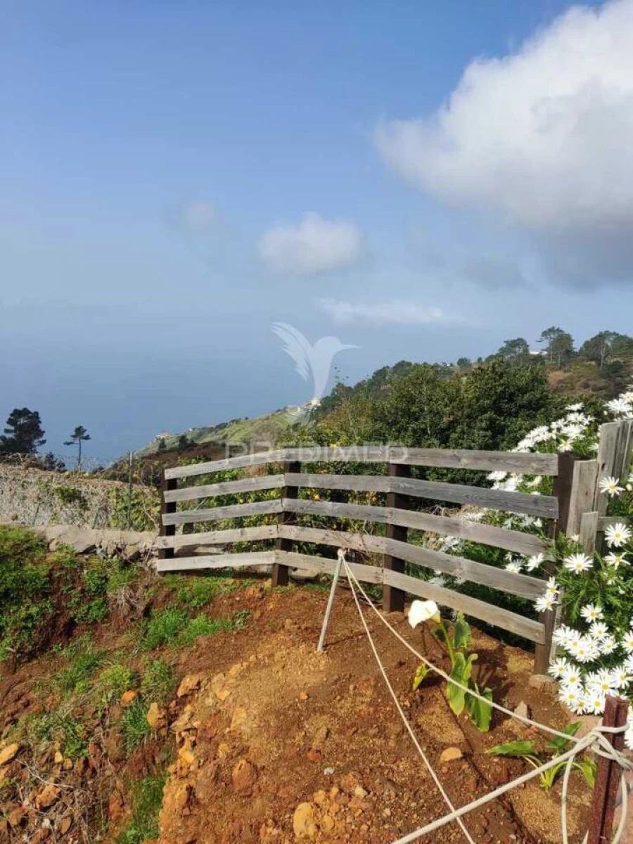 Moradia T2 para Venda em Fajã da Ovelha Foto 6