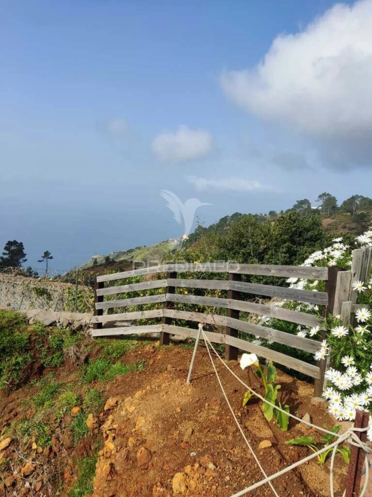 Moradia T2 para Venda em Fajã da Ovelha Foto 6