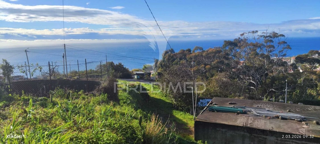 Terreno para Venda em Caniço Foto 8