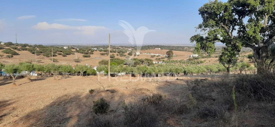 Terreno para Venda em Nossa Senhora da Conceição, São Brás dos Matos, Juromenha Foto 11