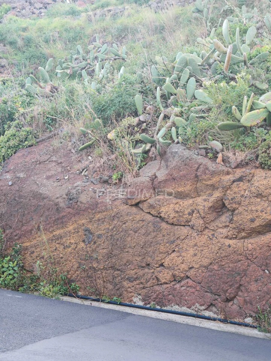 Terreno para Venda em Caniçal Foto 15