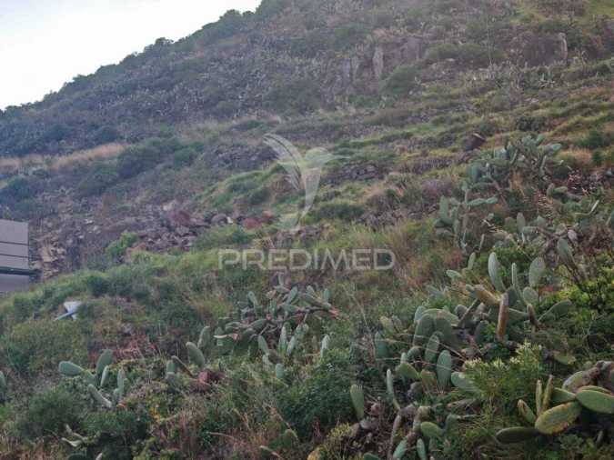 Terreno para Venda em Caniçal Foto 16