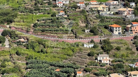 Terreno para Venda em Santa Cruz