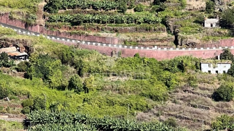 Terreno para Venda em Santa Cruz