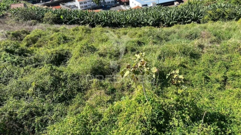 Terreno para Venda em Santa Cruz