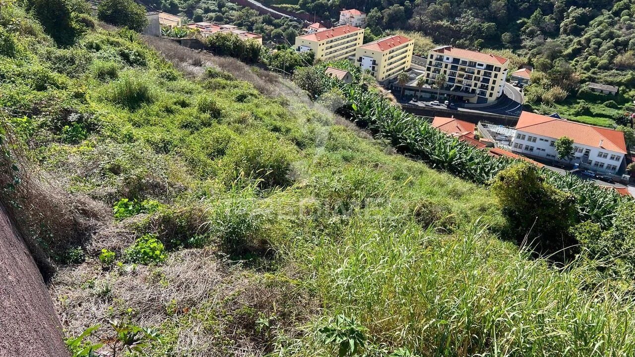 Terreno para Venda em Santa Cruz Foto 16