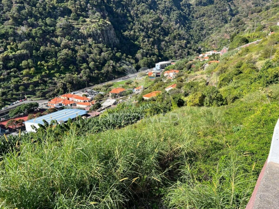 Terreno para Venda em Santa Cruz Foto 22