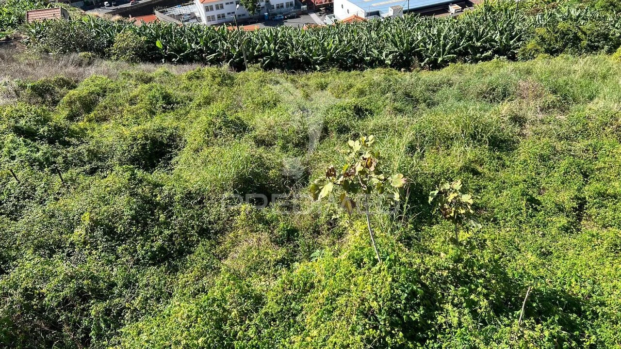 Terreno para Venda em Santa Cruz Foto 15