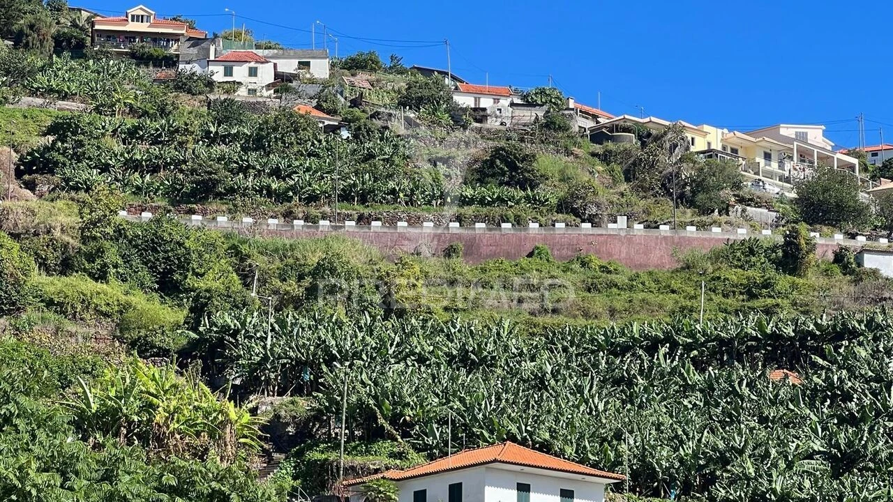 Terreno para Venda em Santa Cruz Foto 26