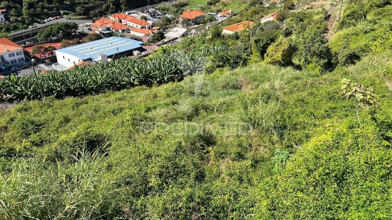 Terreno para Venda em Santa Cruz Foto 21