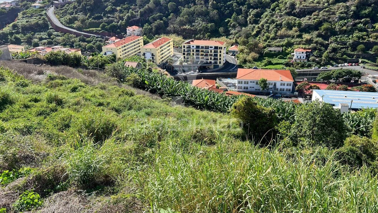 Terreno para Venda em Santa Cruz Foto 17