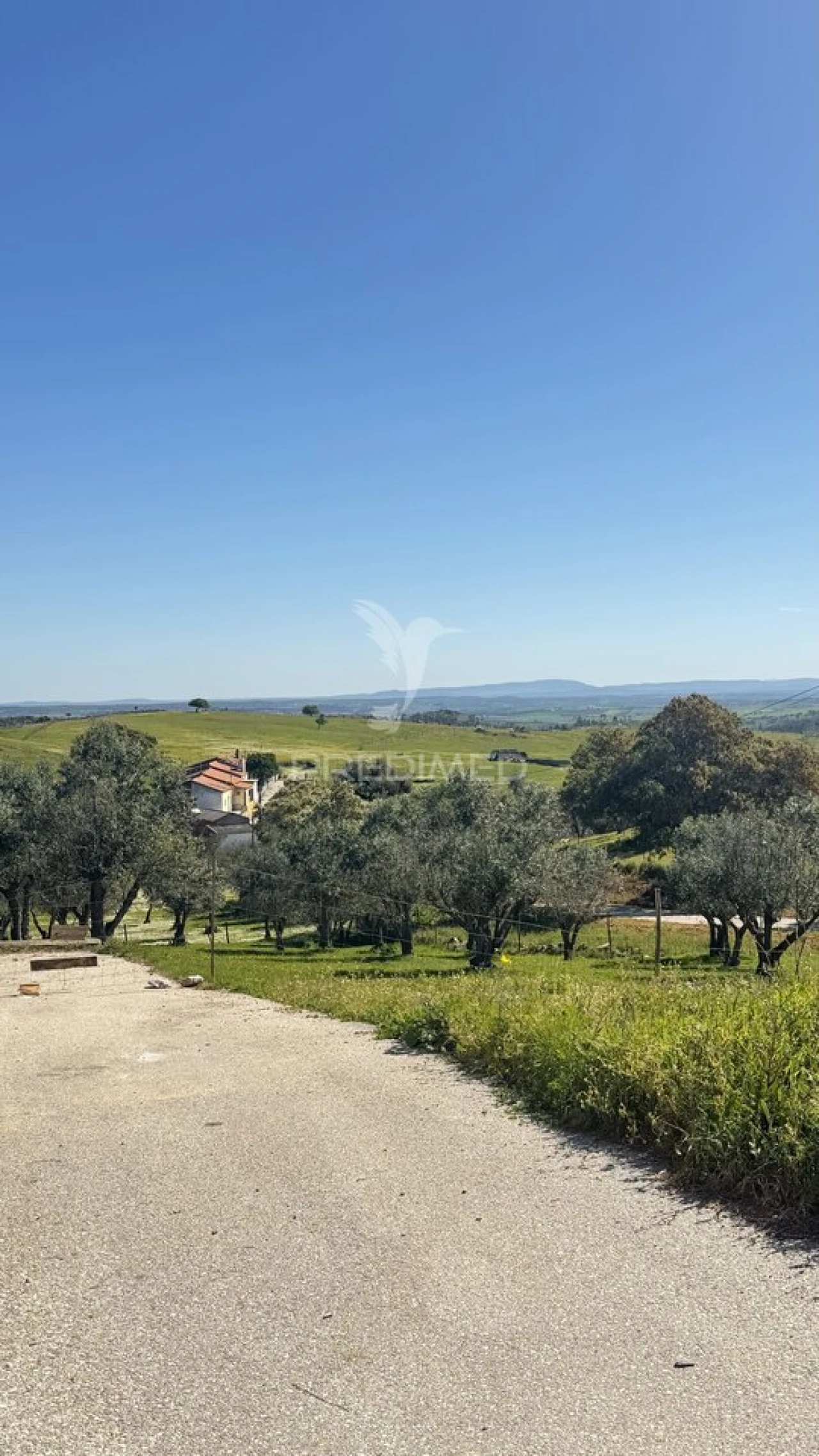 Moradia T2 para Venda em Santiago Maior Foto 30