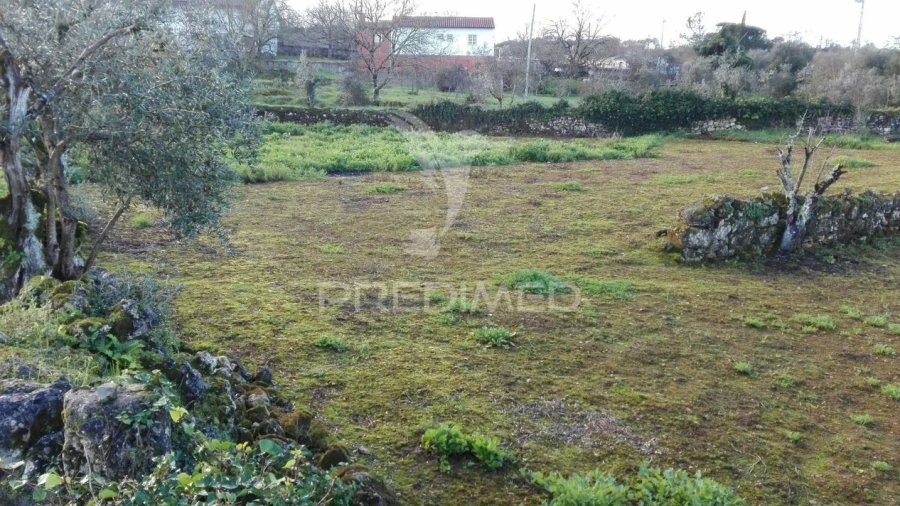 Terreno para Venda em Vila Seca e Bem da Fé
