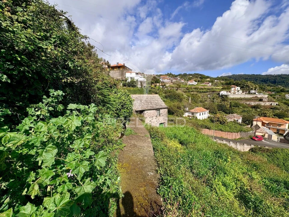 Terreno para Venda em Gaula Foto 3