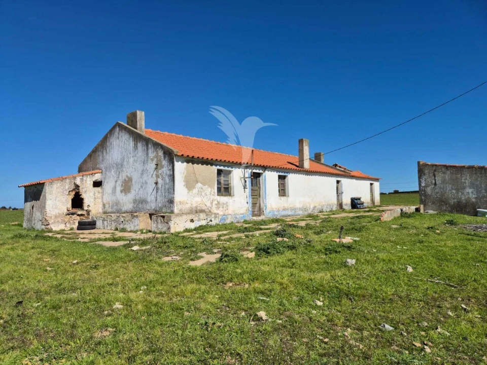 Quinta T0 para Venda em Porto Covo Foto 5