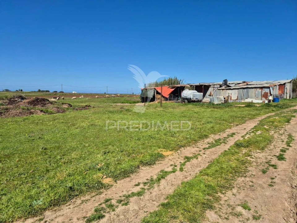 Quinta T0 para Venda em Porto Covo Foto 9