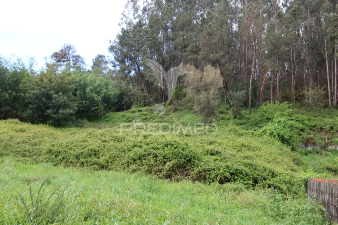 Terreno para Venda em Ferreira do Zezere Foto 13