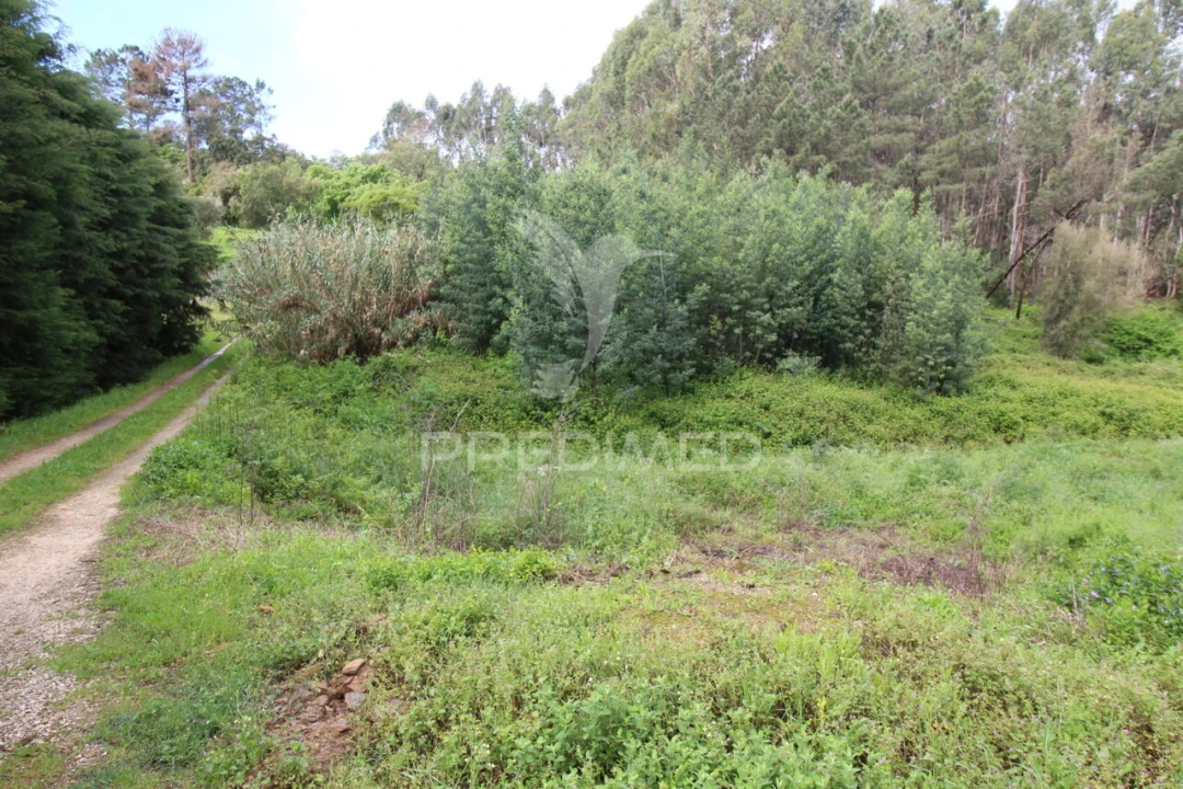Terreno para Venda em Ferreira do Zezere Foto 1