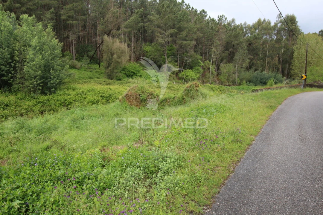 Terreno para Venda em Ferreira do Zezere Foto 3