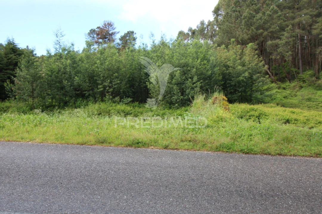 Terreno para Venda em Ferreira do Zezere Foto 5