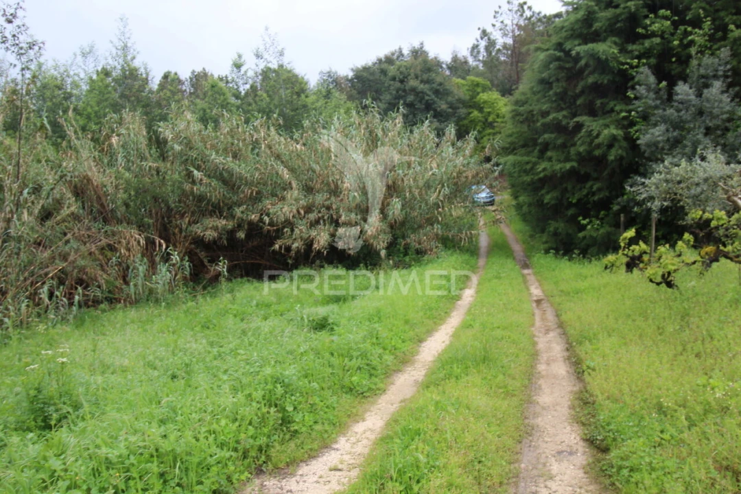 Terreno para Venda em Ferreira do Zezere Foto 24