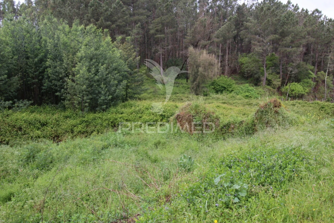 Terreno para Venda em Ferreira do Zezere Foto 10