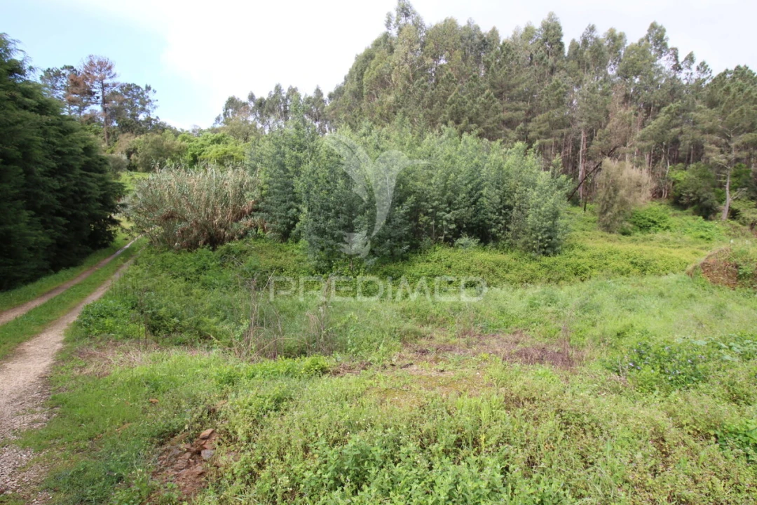 Terreno para Venda em Ferreira do Zezere Foto 14