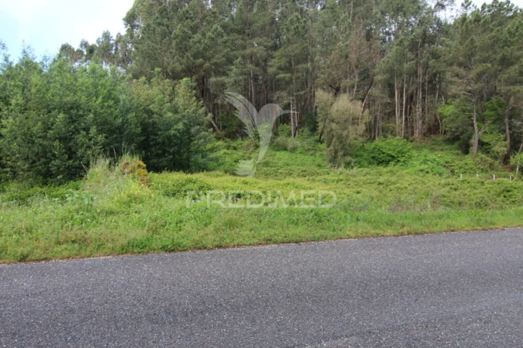 Terreno para Venda em Ferreira do Zezere Foto 23