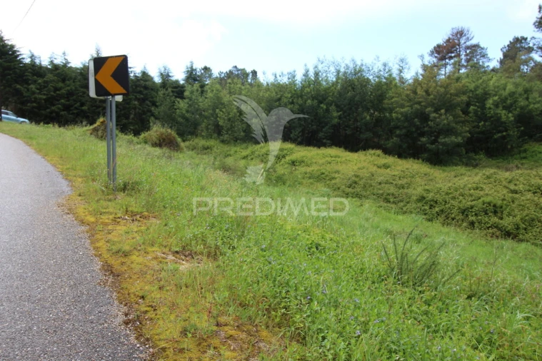 Terreno para Venda em Ferreira do Zezere Foto 19