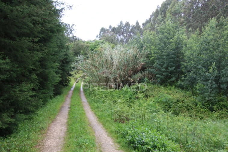 Terreno para Venda em Ferreira do Zezere Foto 22