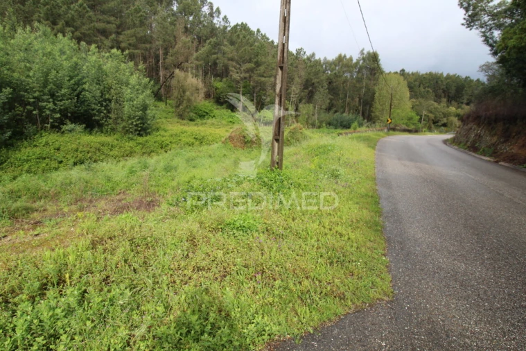 Terreno para Venda em Ferreira do Zezere Foto 2